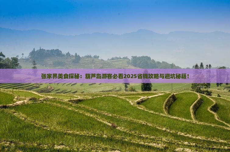 葫芦岛去张家界旅游小吃