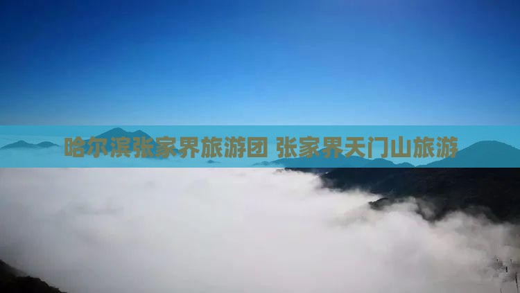 哈尔滨去张家界天门山旅行社