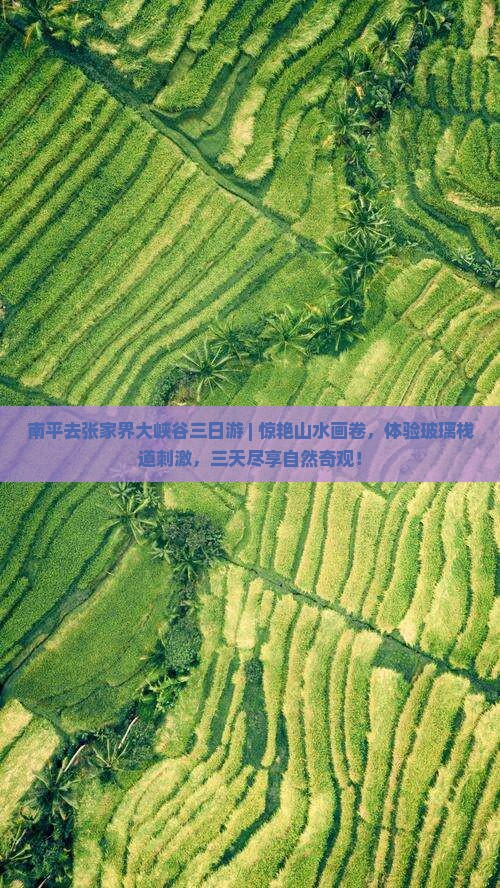 南平去张家界大峡谷三日游