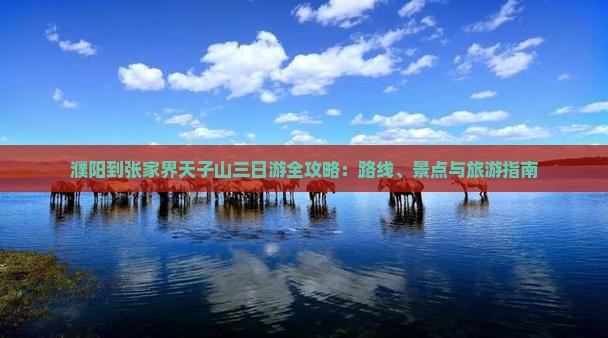濮阳到张家界天子山三日游