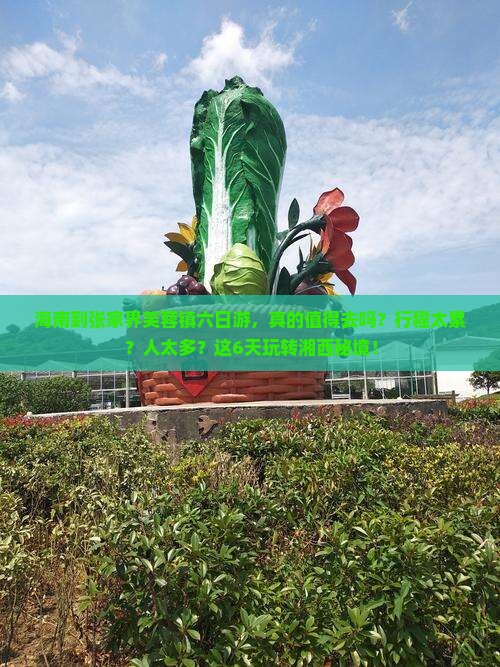 海南到张家界芙蓉镇六日游