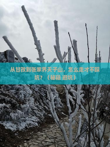 甘孜去张家界天子山攻略