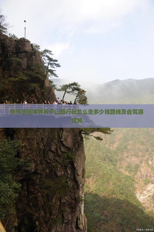 焦作去张家界天子山旅行社