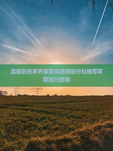 昌都去张家界芙蓉镇旅行社