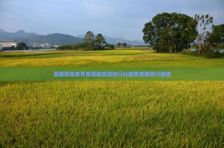 昌都去张家界芙蓉镇旅行社