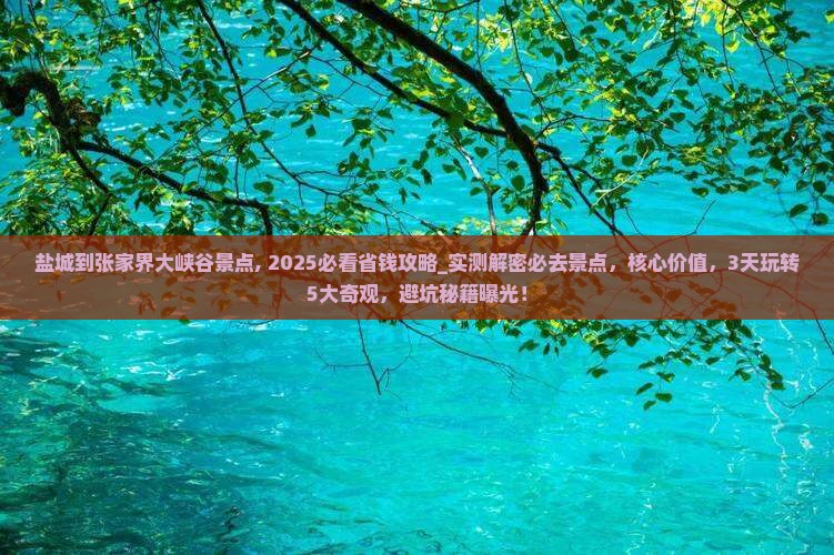 盐城到张家界大峡谷景点