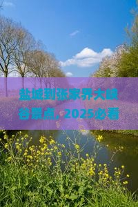 盐城到张家界大峡谷景点