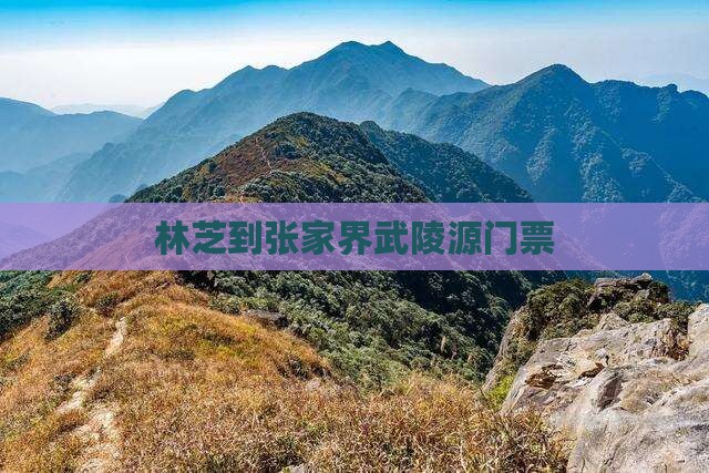 林芝到张家界武陵源门票