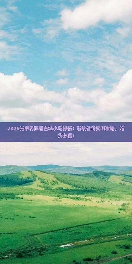 松原去张家界凤凰古城旅游小吃