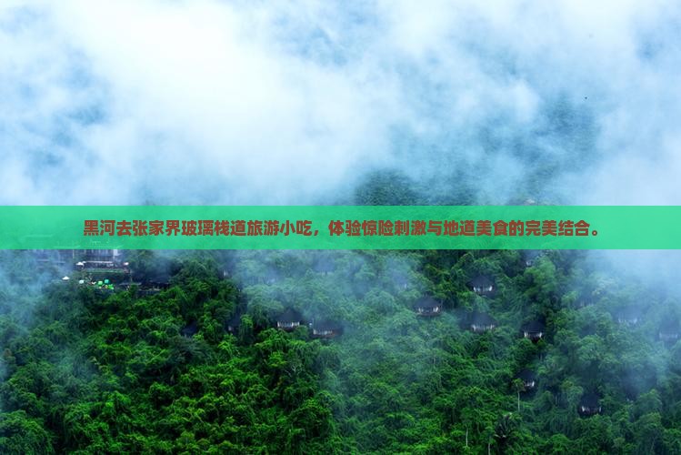 黑河去张家界玻璃栈道旅游小吃