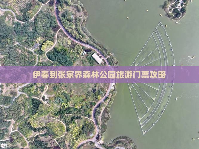 伊春到张家界森林公园门票