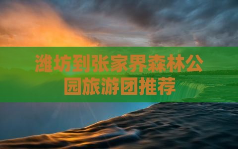 潍坊到张家界森林公园旅行社