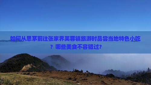 思茅去张家界芙蓉镇旅游小吃