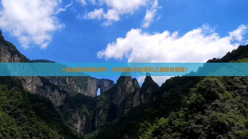 池州到张家界团体旅游