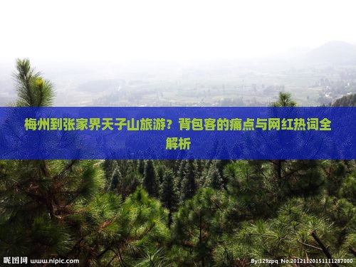 梅州到张家界天子山旅游 梅州到张家界天子山旅游