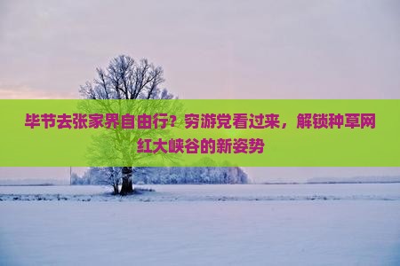 毕节去张家界自由行