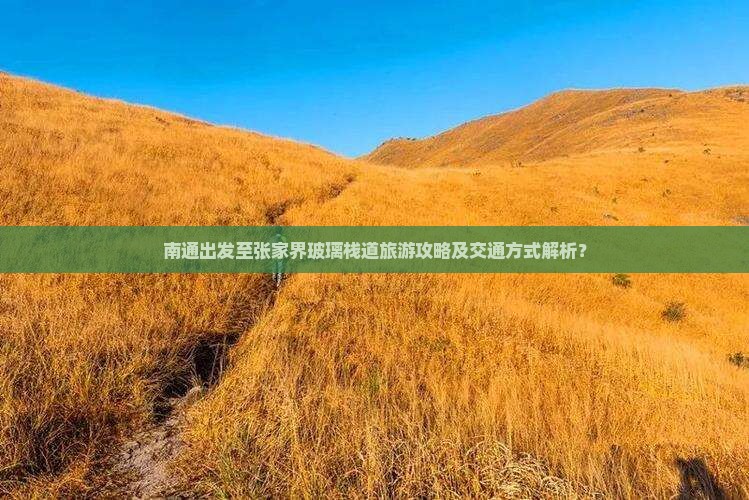 南通到张家界玻璃栈道旅游
