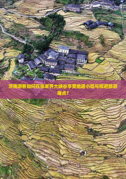 济南到张家界大峡谷旅游小吃