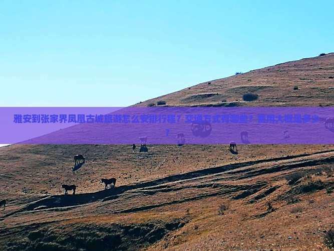 雅安到张家界凤凰古城旅游