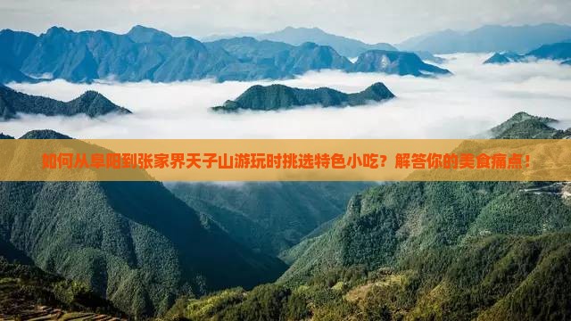 阜阳去张家界天子山旅游小吃