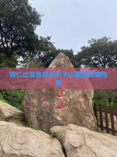 铜仁去张家界天子山团体旅游