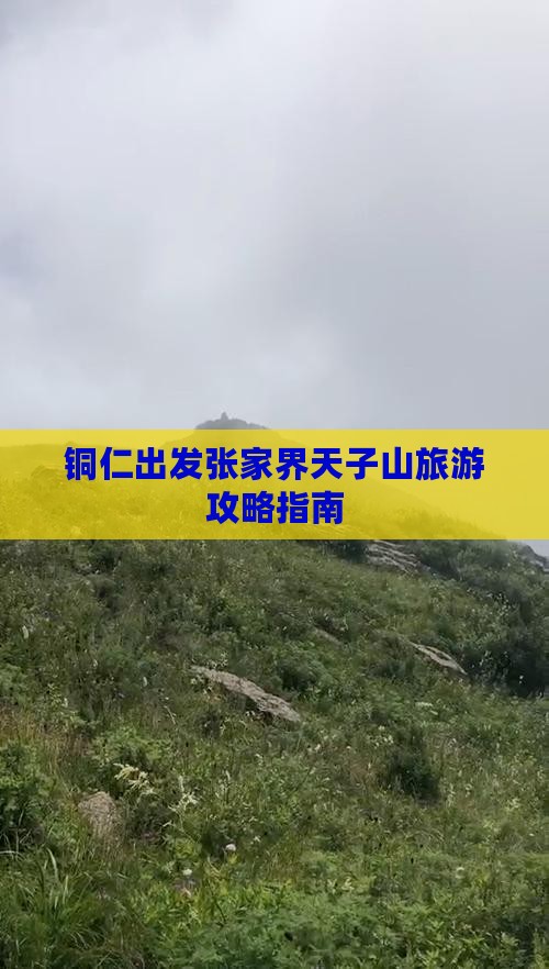 铜仁去张家界天子山团体旅游