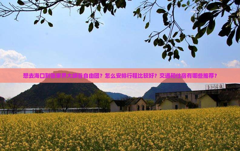 海口到张家界大峡谷自由团
