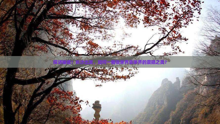 长沙去张家界袁家界门票