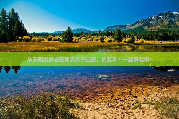 安阳到张家界天子山团体旅游