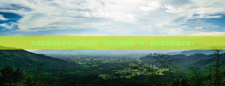 大丰去张家界大峡谷旅游小吃 大丰去张家界大峡谷旅游小吃