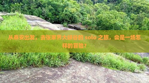 泰安到张家界大峡谷个人游