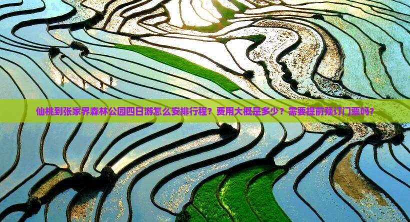 仙桃去张家界森林公园四日游