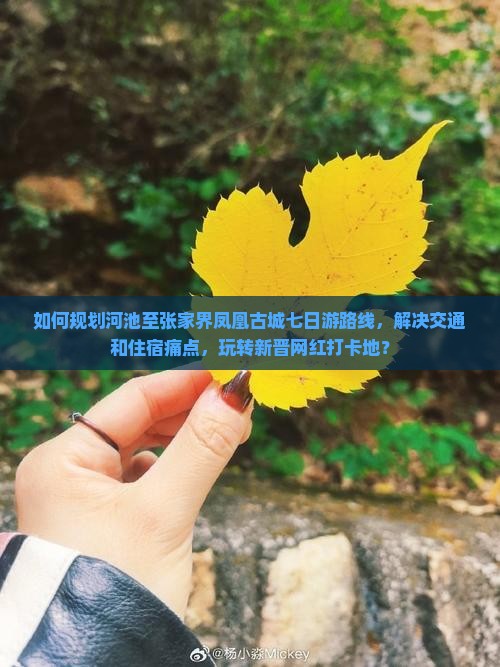 河池去张家界凤凰古城七日游