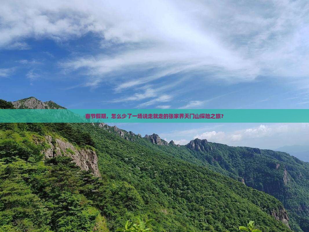 春节到张家界天门山二日游