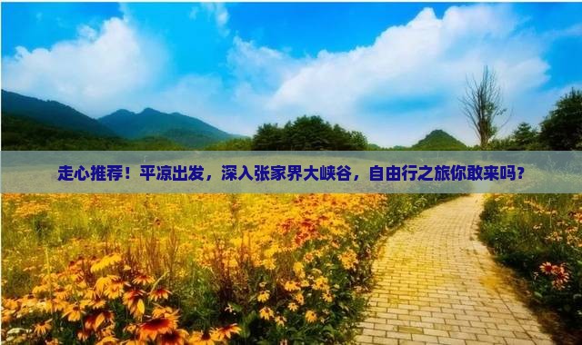 平凉到张家界大峡谷自由团