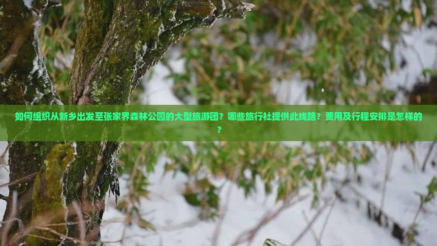 新乡去张家界森林公园大型旅游团