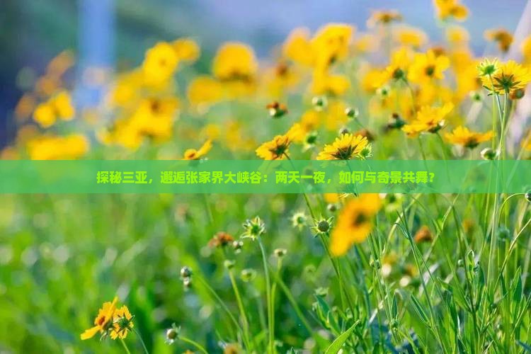 三亚到张家界大峡谷二日游