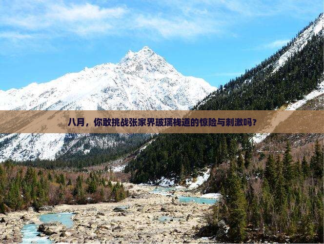 八月去张家界玻璃栈道必去地