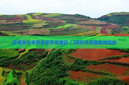 武威去张家界袁家界哪里玩