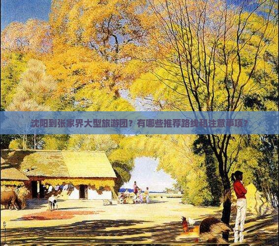 沈阳到张家界大型旅游团