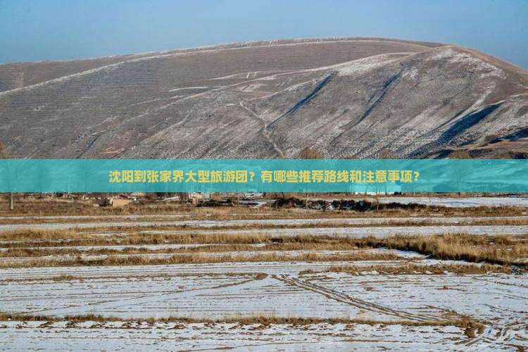 沈阳到张家界大型旅游团