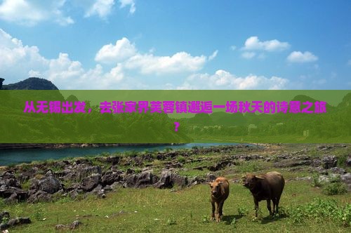 无锡到张家界芙蓉镇四日游