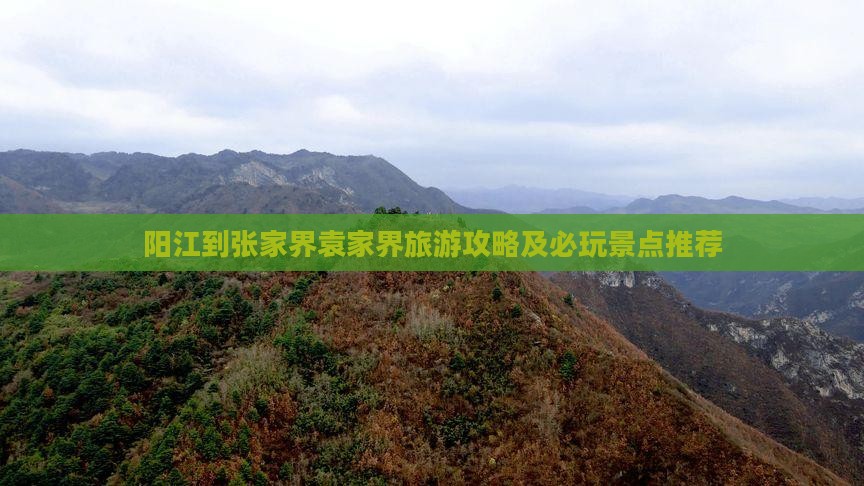 阳江到张家界袁家界个人游