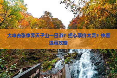 大丰去张家界天子山一日