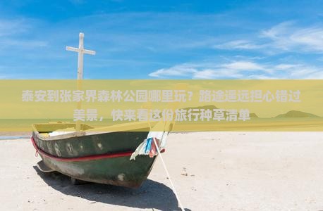 泰安到张家界森林公园哪里玩