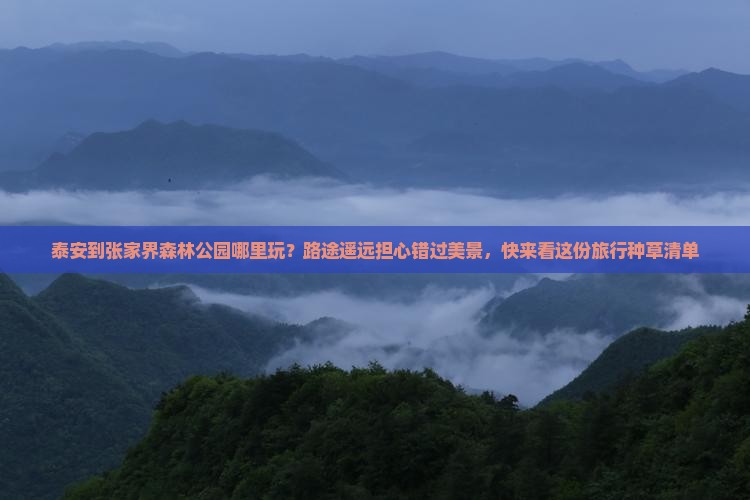 泰安到张家界森林公园哪里玩