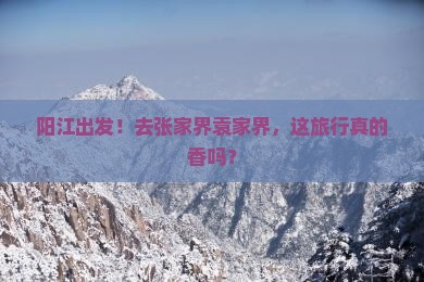 阳江去张家界袁家界团体旅游