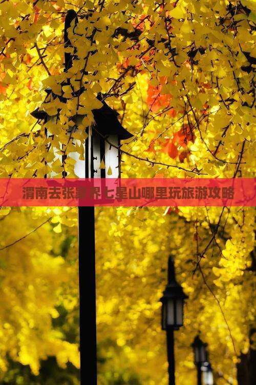 渭南去张家界七星山哪里玩