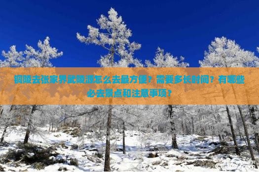 铜陵去张家界武陵源景点