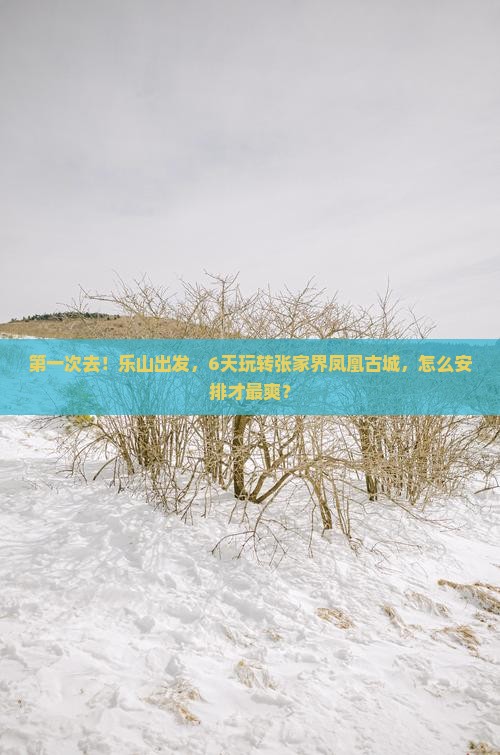 乐山到张家界凤凰古城六日游